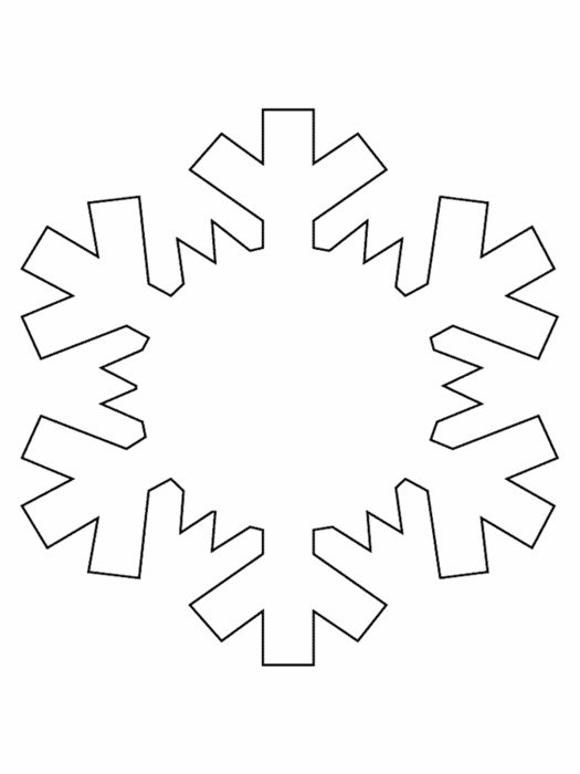 white snowflake on a white background