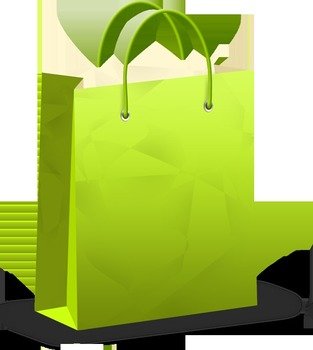 Shopping Bag Icon