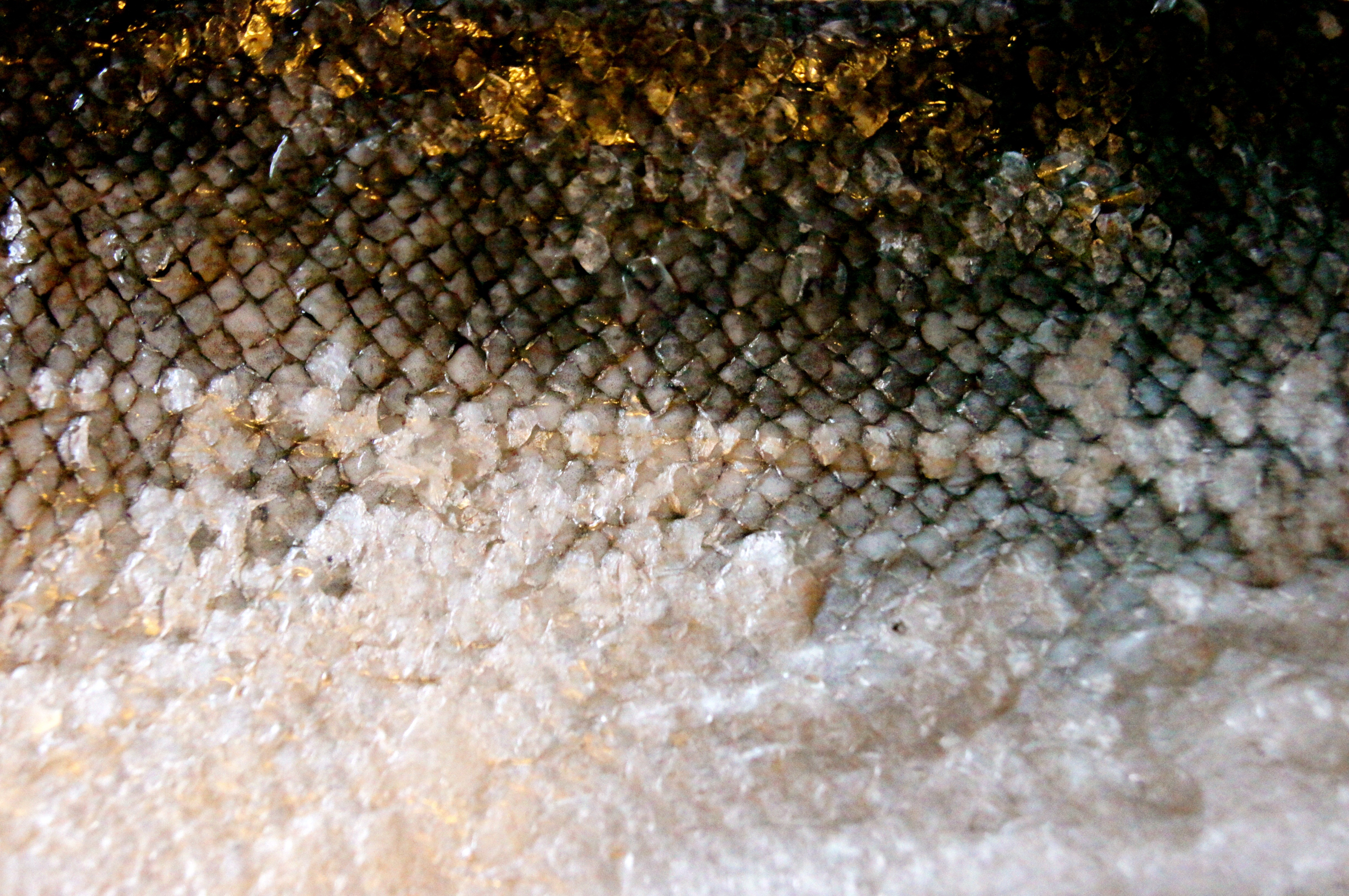 Рыбья кожа текстура