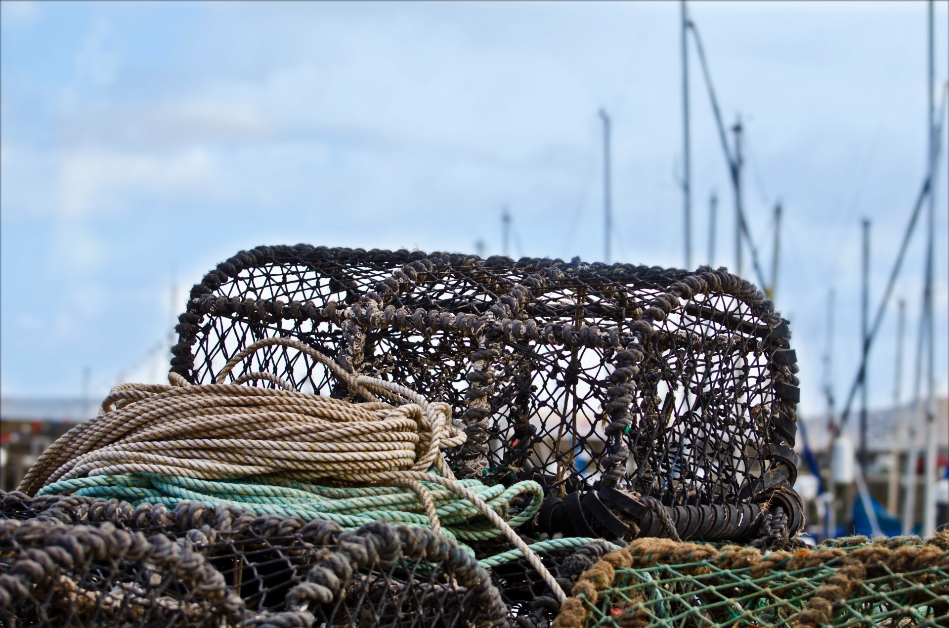 Trap crab pots lobster coastal free image download