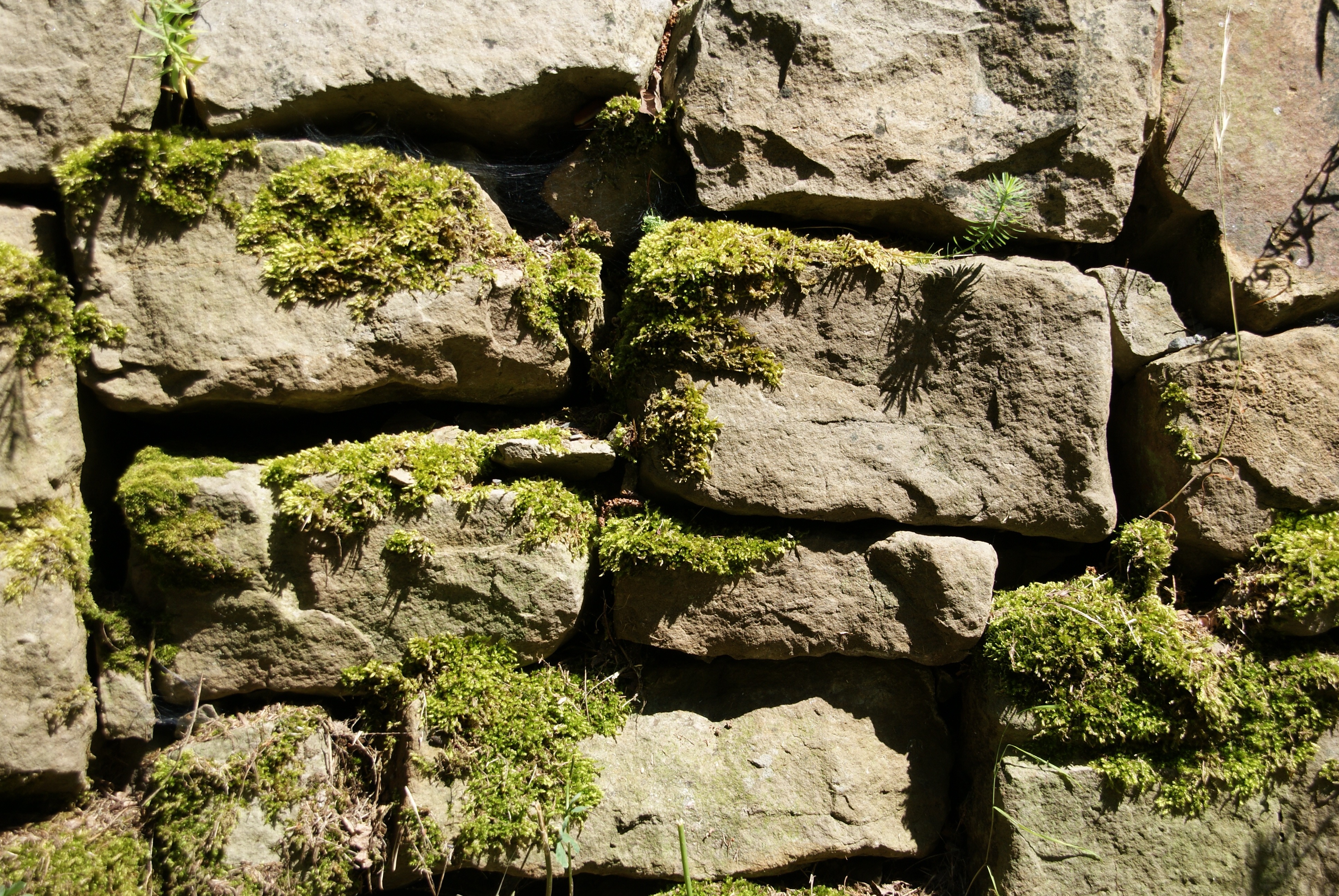 Каменная стена скала