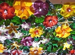 floral colours design flower