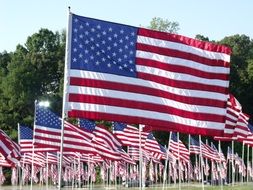 patriotic flags