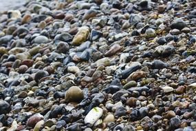 wet sea pebbles