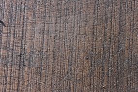 wood floor texture pattern