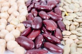 wallpaper with beans
