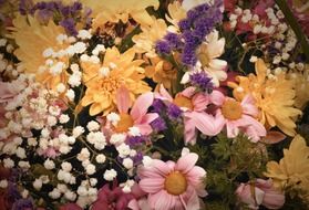 flowers flower holiday gift joy