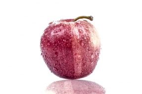 red wet apple on a white background