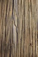 texture wood lines tan background
