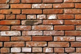 brick bricks used wall textured