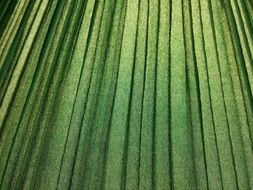 pattern green texture vintage