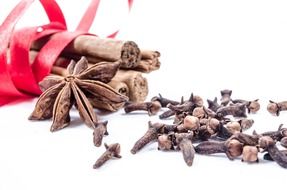 cinnamon, cloves and aniseeds on a white background