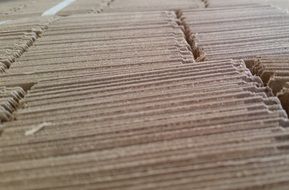 cardboard perspective