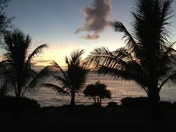 beach near the Pacific Ocean at sunset, Saipan