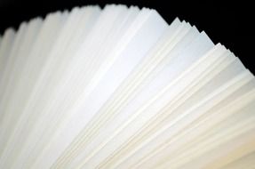 pages of an opened book