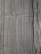 wood background rustic texture