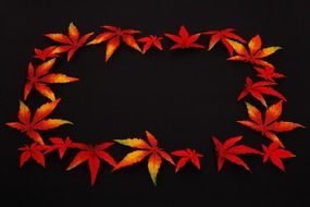 autumn leafs frame