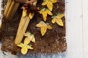 autumn brown color decoration fall