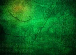 texture green background backdrop