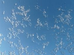 ice on a frozen window