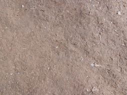 mud dry dried background