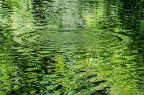 background with circles on green water