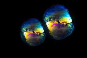 soap bubbles on a black background