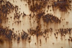 stainless rusty metal background