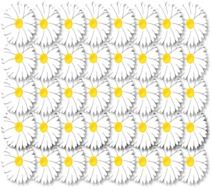 artistic daisy daisies wall