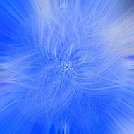 rosette wallpaper blue abstract