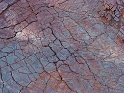 rock sandstone cracks texture