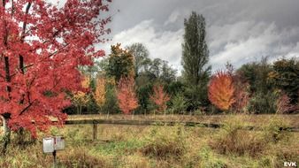 mailbox trees clouds nature