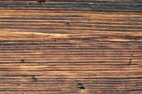 wood nature brown background
