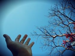 hand sky nature fingers blue