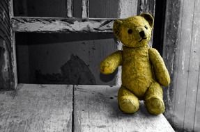 forgotten yellow teddy bear