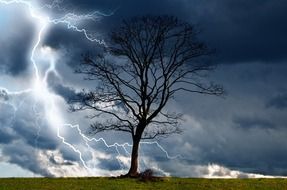 tree and storm