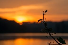 sunrise orange clouds sky night