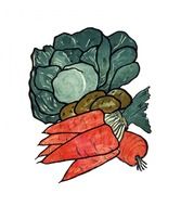 vegetables vegetable cabbage carrot