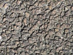 rocky rough texture background