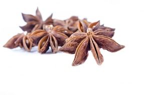 aniseeds on a white background