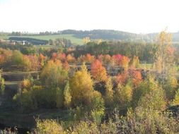 quarry landscape autumn background