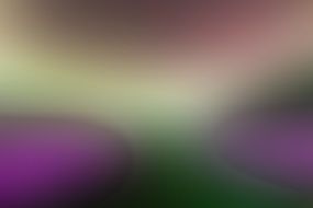 blurred pattern