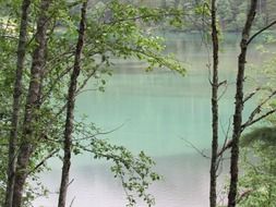 austria nature lake hunter