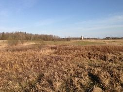 field nature background countryside