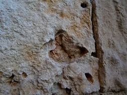 texture stone wall sandstone