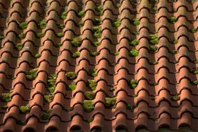 red tile weathered brick pattern