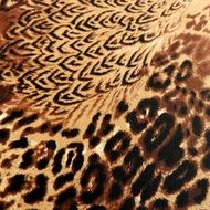 animal print background