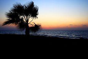 beautiful coast at dusk