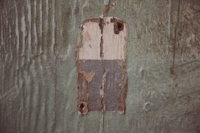 wood texture old grunge decay