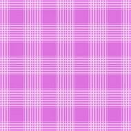 checks plaid tartan purple